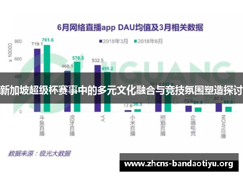 新加坡超级杯赛事中的多元文化融合与竞技氛围塑造探讨 新加坡超级杯赛事中的多元文化融合与竞技氛围塑造探讨