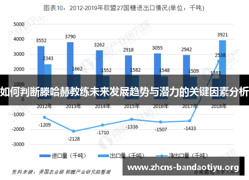 如何判断滕哈赫教练未来发展趋势与潜力的关键因素分析 如何判断滕哈赫教练未来发展趋势与潜力的关键因素分析