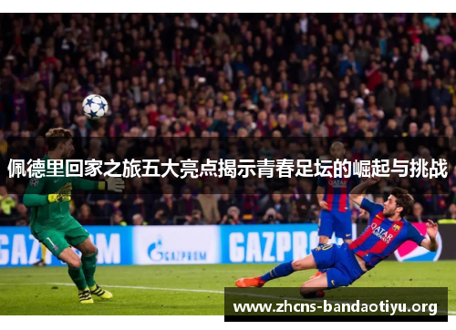 佩德里回家之旅五大亮点揭示青春足坛的崛起与挑战