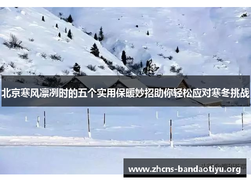 北京寒风凛冽时的五个实用保暖妙招助你轻松应对寒冬挑战 北京寒风凛冽时的五个实用保暖妙招助你轻松应对寒冬挑战