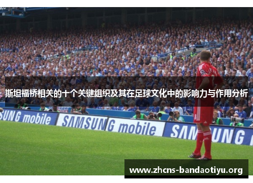 斯坦福桥相关的十个关键组织及其在足球文化中的影响力与作用分析 斯坦福桥相关的十个关键组织及其在足球文化中的影响力与作用分析