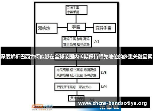 深度解析巴西为何能够在全球范围内长期保持领先地位的多重关键因素 深度解析巴西为何能够在全球范围内长期保持领先地位的多重关键因素