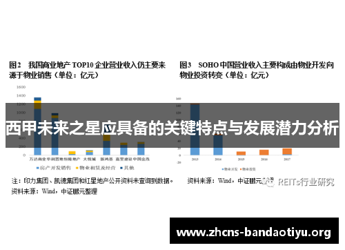 西甲未来之星应具备的关键特点与发展潜力分析 西甲未来之星应具备的关键特点与发展潜力分析