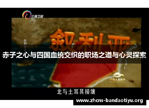 赤子之心与四国血统交织的职场之道与心灵探索 赤子之心与四国血统交织的职场之道与心灵探索